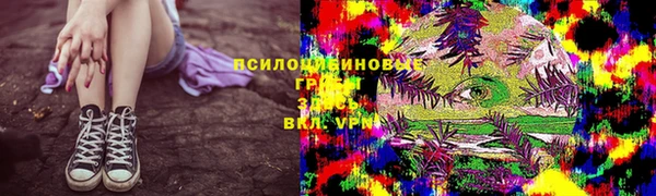 прущие грибы Алексеевка
