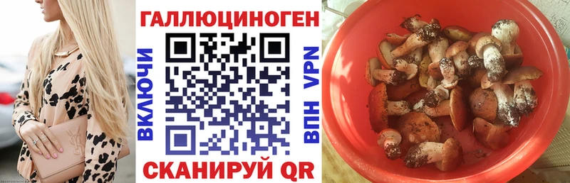 Галлюциногенные грибы мухоморы  хочу   Котельнич 
